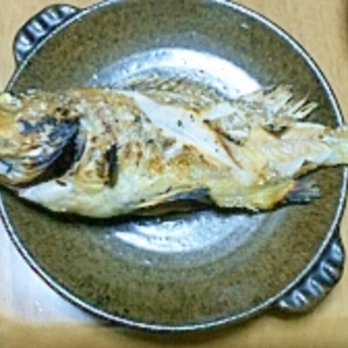 茶ハチメの塩焼き